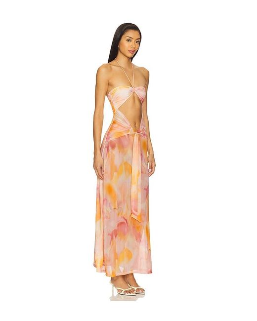 Devon Windsor Multicolor Berrie Dress