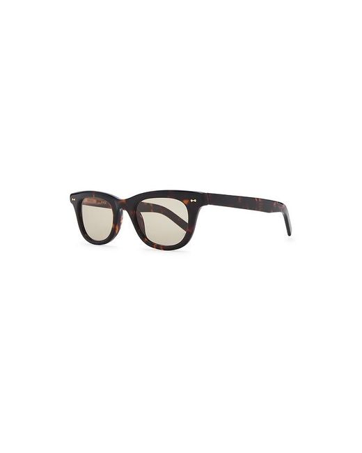 Chimi Multicolor Ease Sunglasses for men