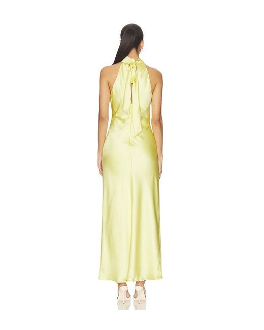 Steve Madden Metallic Lara Dress