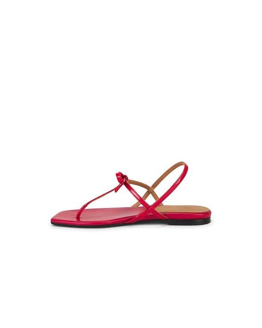Flattered Red Sandale Sina