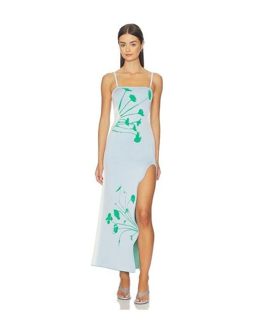 Ph5 Blue Iris Flower Print Maxi Tank Dress