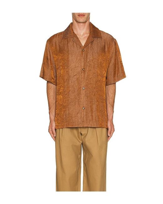 Camisa En Color Marrón Talla (También En Xs) WAO de hombre de color Brown