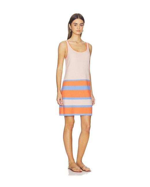 Sancia Multicolor The Evora Knit Dress