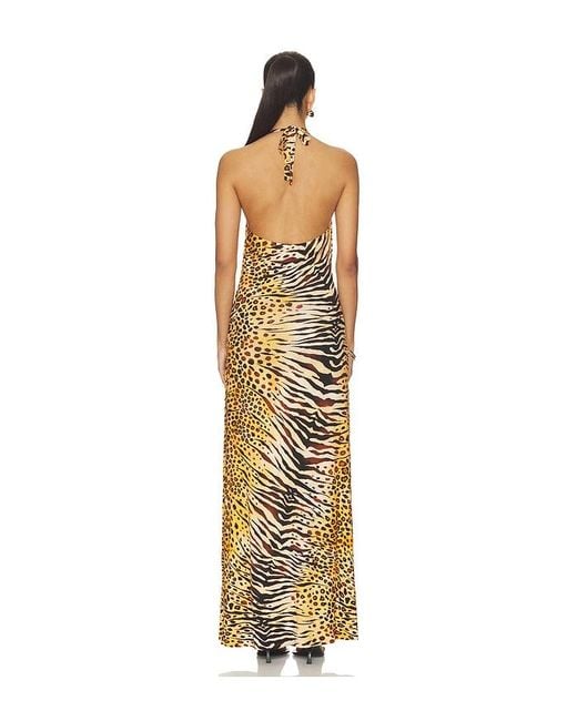 Luli Fama Multicolor Tigressa Ring Halter Long Dress