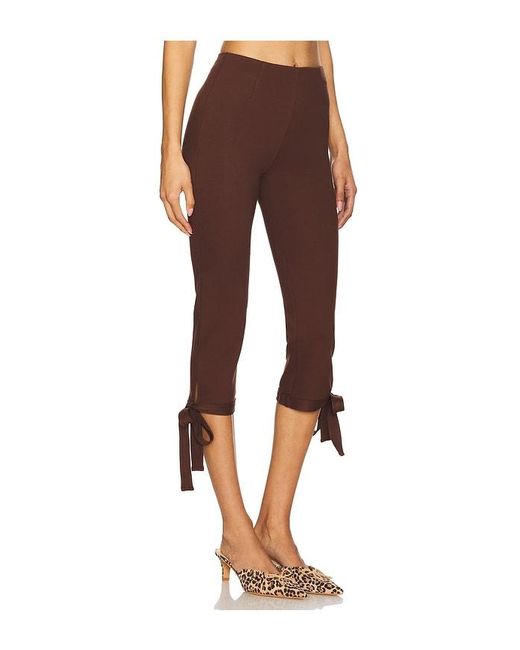 Miaou Brown Emma Capri
