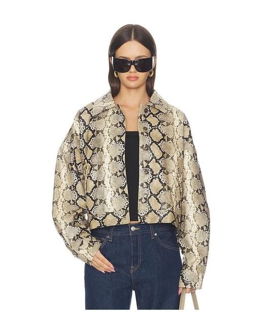 Lioness Blue Angel Jacket