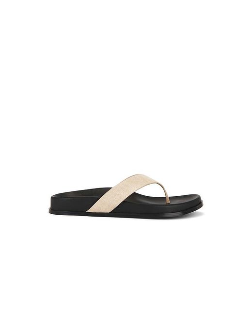 Raye Black Sandale Alta