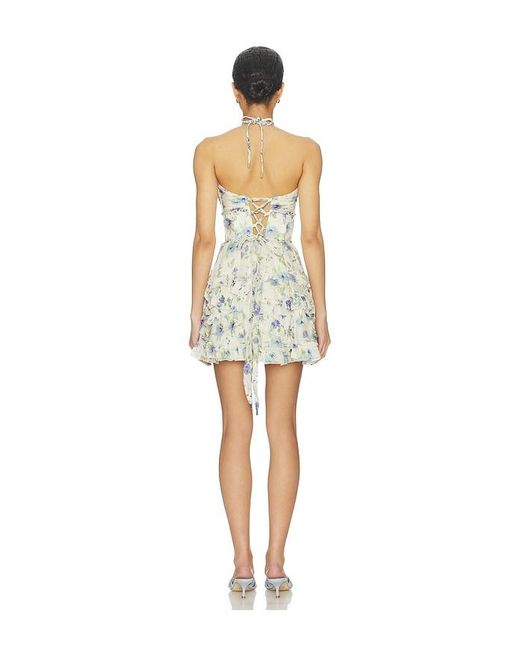 V. Chapman Multicolor Sophie Dress