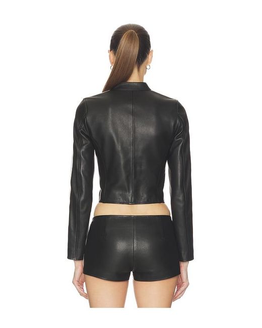 Halo Black Sport Zip Up Jacket