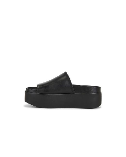 Steve Madden Black Arwen Sandal