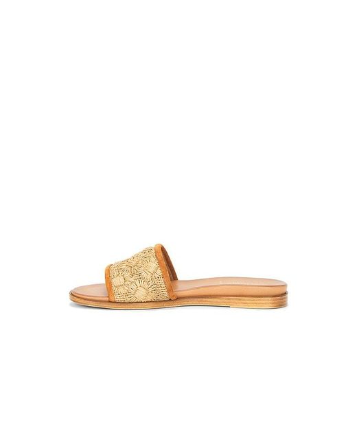 Seychelles White Dakota Sandal