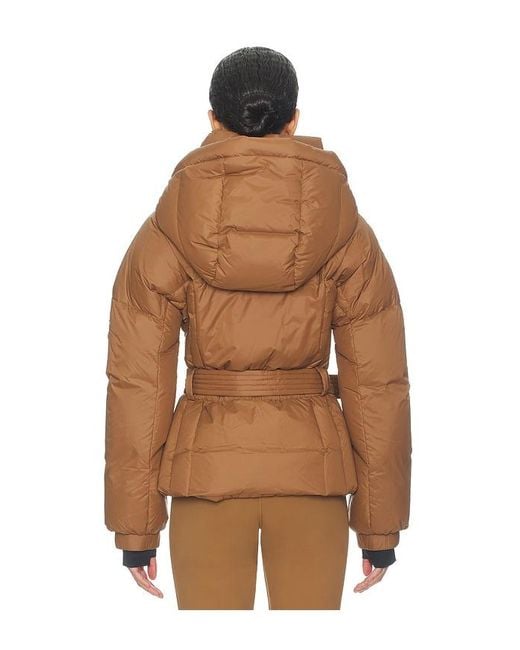 CORDOVA Brown Monterosa Ski Jacket