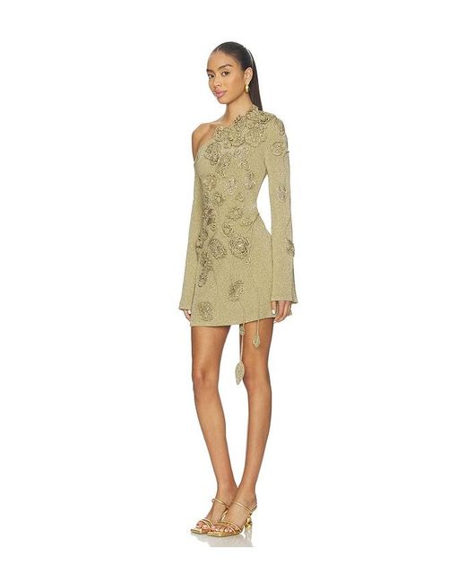 Cult Gaia Natural Kaela Knit Dress