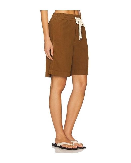 Amo Denim Brown Shorts Tina