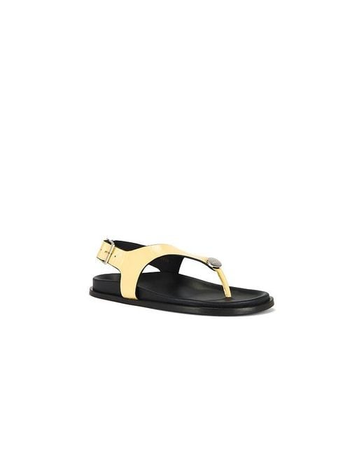 Alohas Multicolor Harbor Onix Sandals