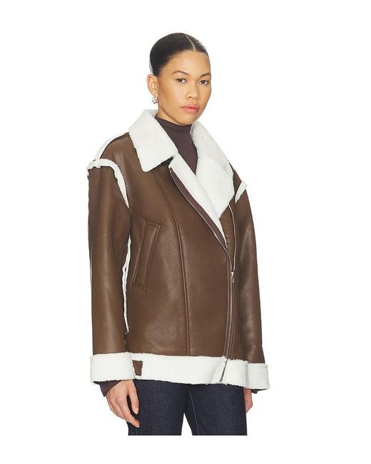 SNDY'S Brown London Oversized Biker Jacket