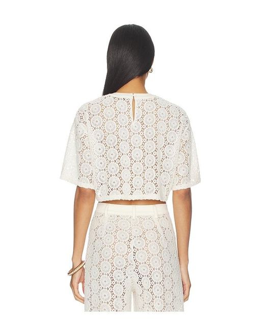 NonChalant Label White Cami Crop