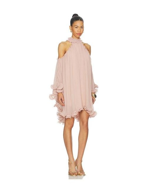 Aniye By Natural Tessa Mini Dress