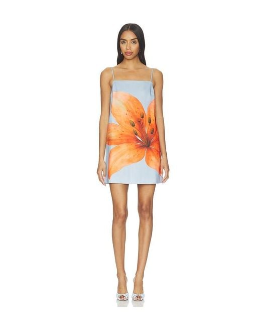 Line & Dot Orange Avah Mini Dress