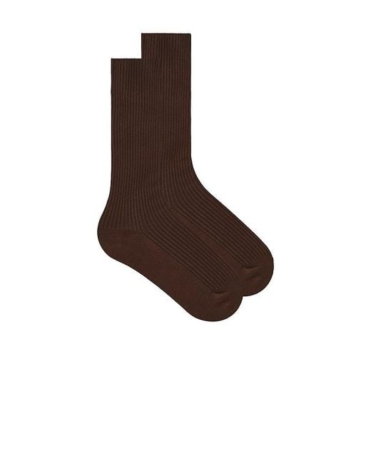 ÉTERNE Brown Classic Rib Socks