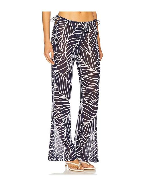 Devon Windsor Multicolor Hose Ollie