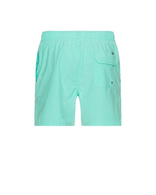 Vintage Summer Green Vintage Wash Volley Swim Short for men