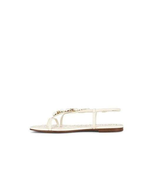 Sam Edelman White Sandale Calla