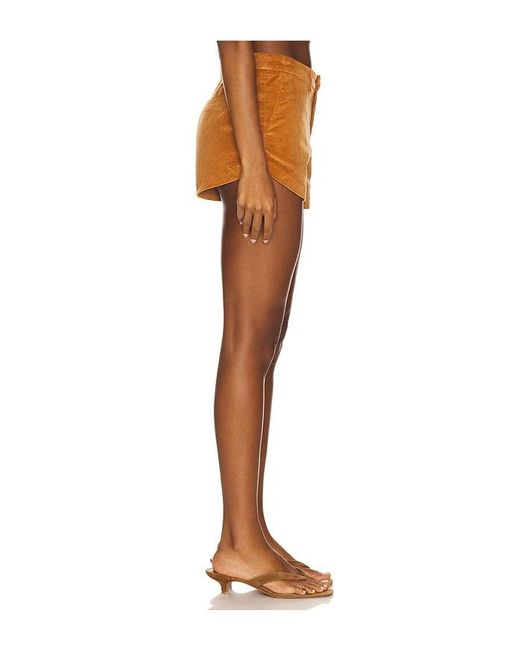 Lioness Orange Saddle Short