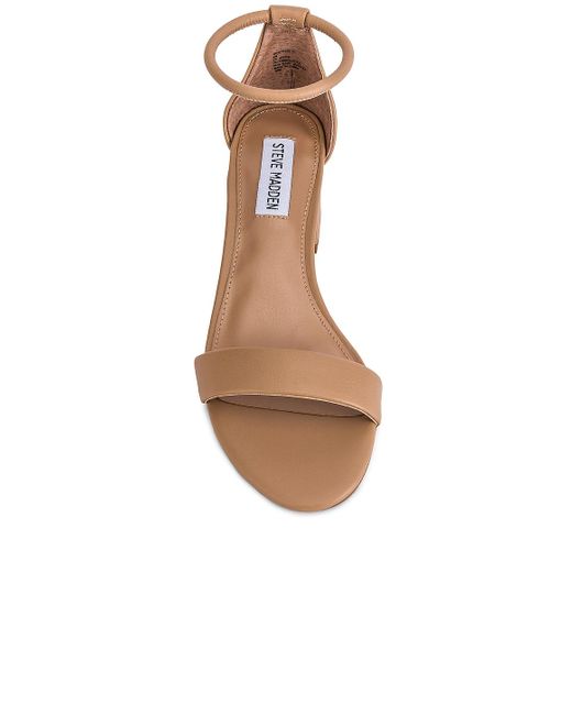 steve madden ibbie sandal