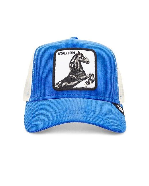 Goorin Bros Blue Sly Stallion Hat for men