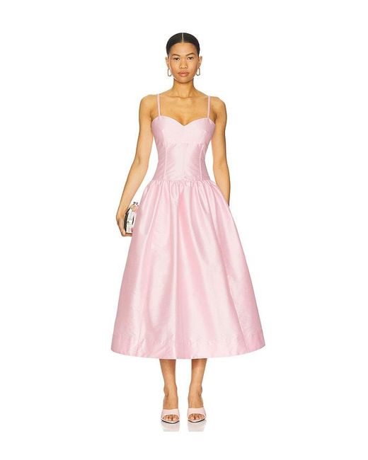 Likely Women's Pink Filomena Dress
