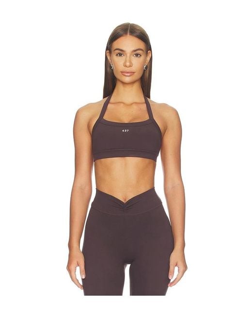 437 Brown The Halter Bra