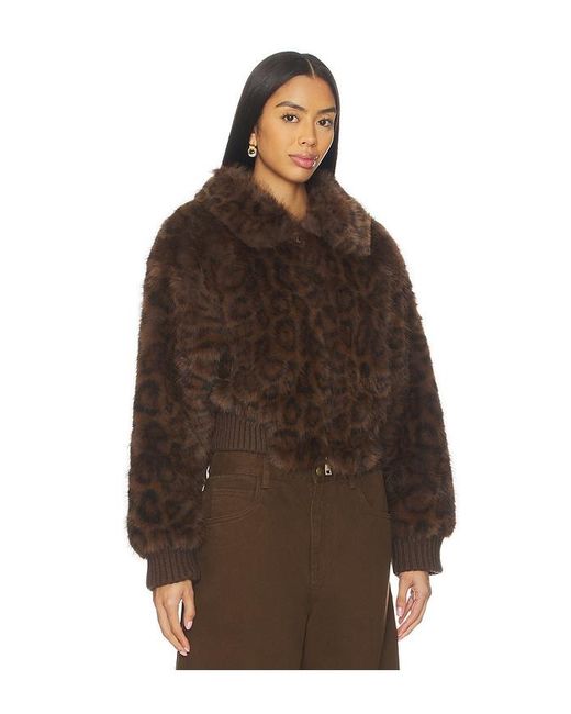 bubish Brown Blousons Hailey