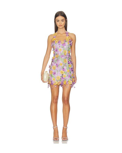 PATBO Purple Tulle Pina Embroidered Mini Dress