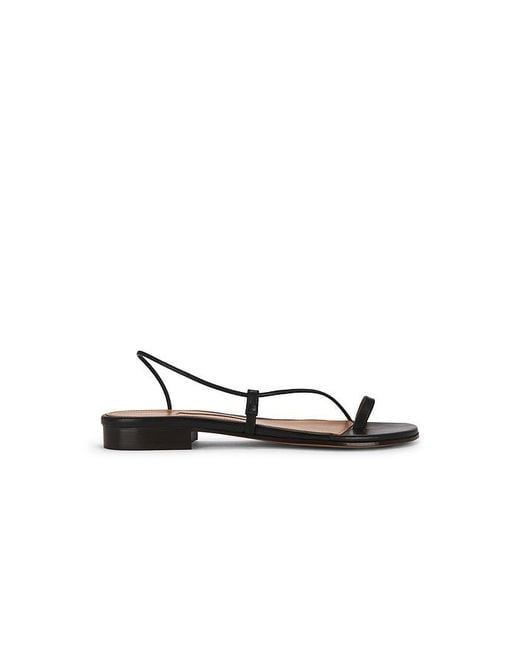 Emme Parsons Black Susan Slide