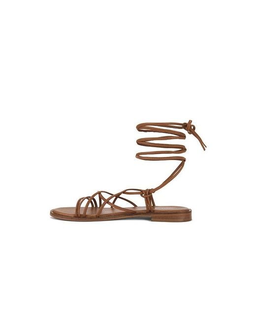 Seychelles Multicolor Lighthouse Sandal