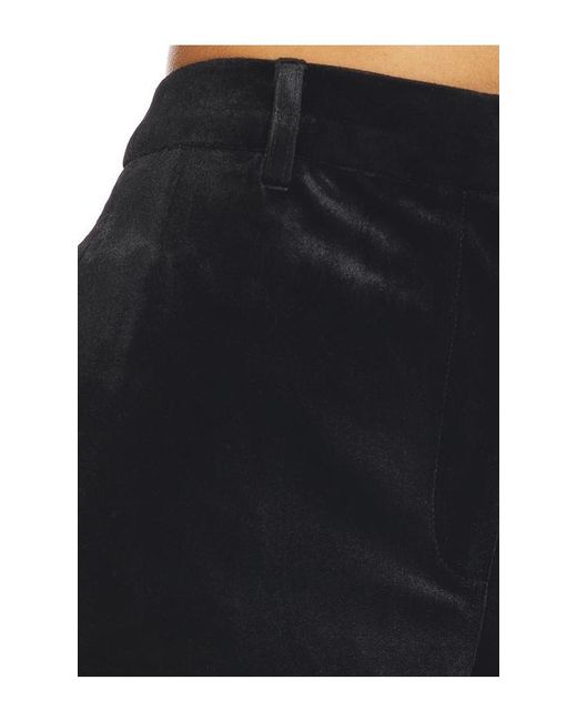 Astr Blue Wynn Velvet Shorts