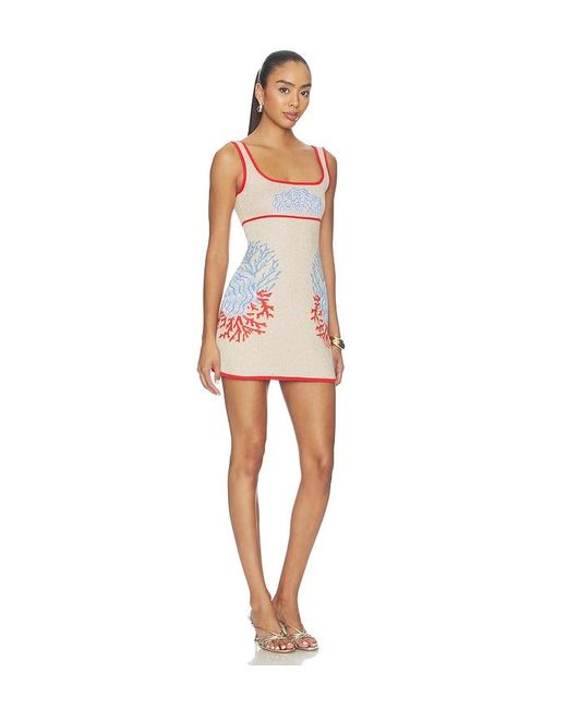 retroféte Multicolor Valcra Knit Dress