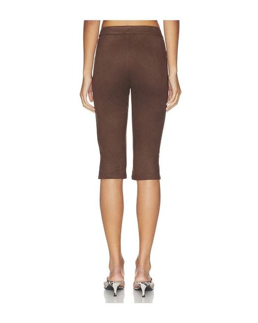 superdown Brown Caprihose Ayla