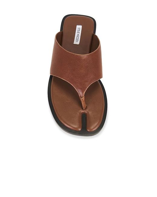 Steve Madden Brown Illia Sandal