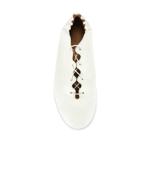 Odissi White Milly Scallop Flat