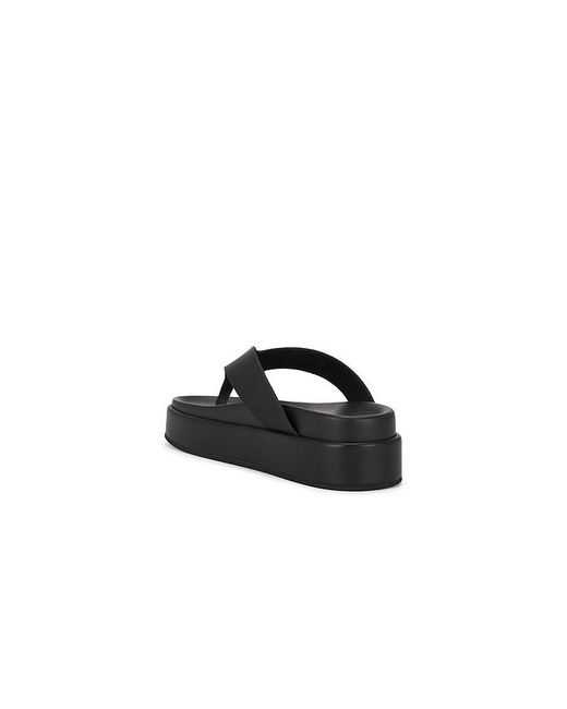 Tony Bianco Black Jetta Sandal