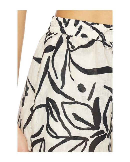 LSPACE Black Rio Short