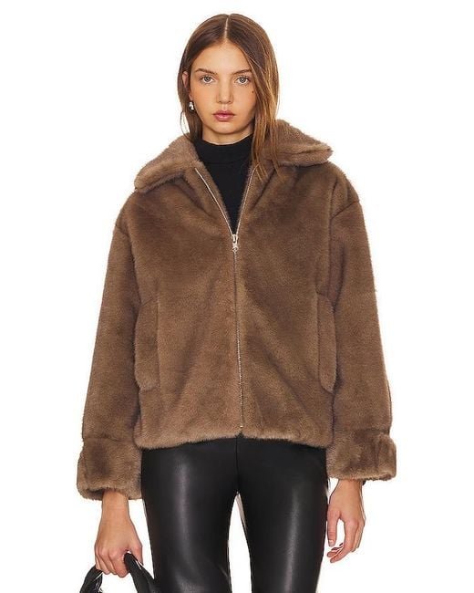 Heartloom Brown Mantel Sari