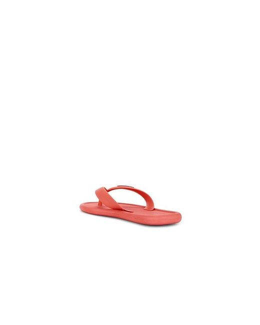 Havaianas Red Sandale Puffed Up