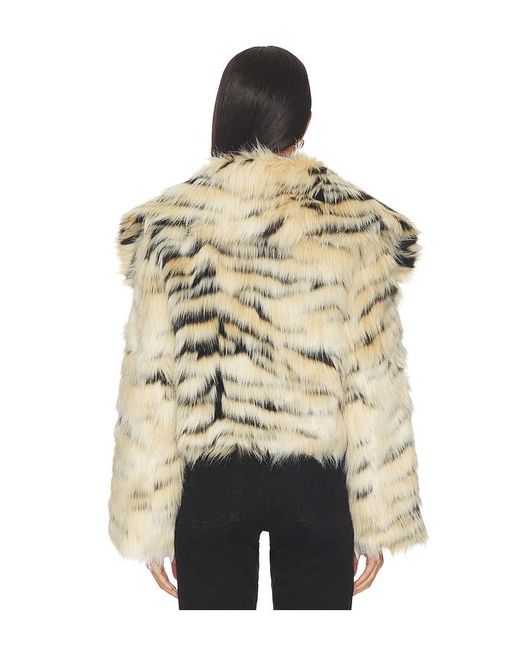 Adrienne Landau Blue Londyn Jacket