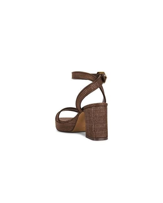 Steve Madden Multicolor Elida Sandal
