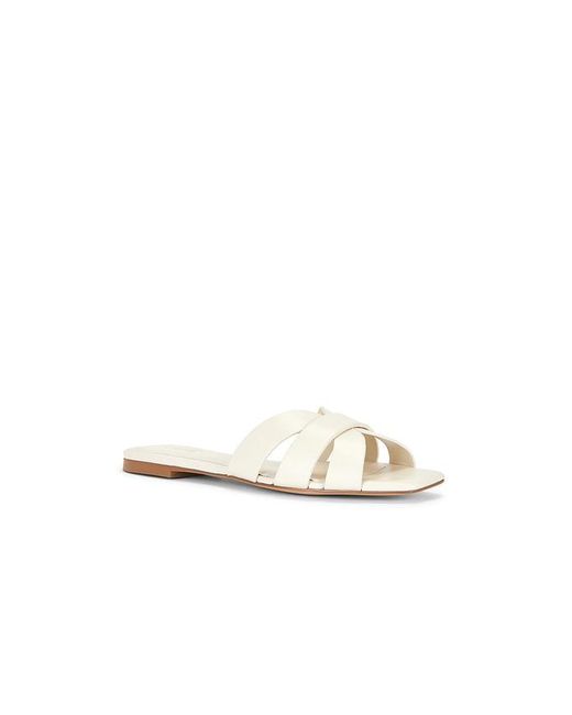 Raye White Almodovar Flat