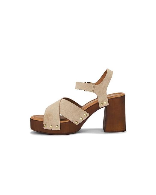 Seychelles Brown Paloma 2 Sandal