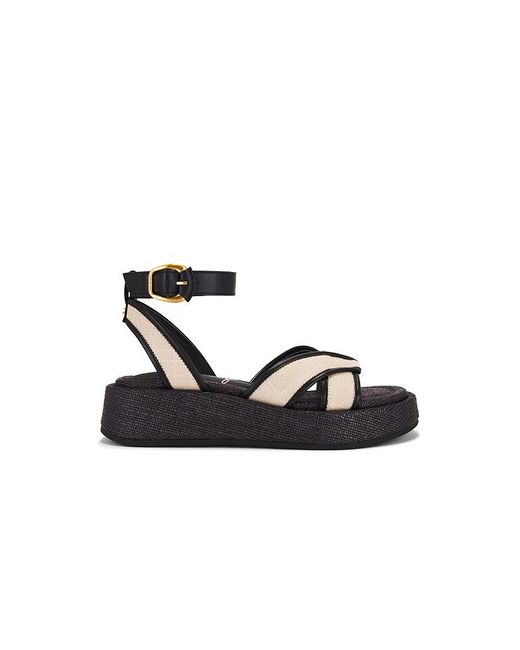 Sandalia Nylie En Color Negro Talla En Sam Edelman de color Black